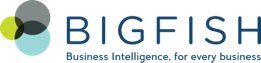 bigfish- business intelligence, for everyone